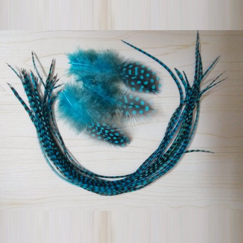 blue feather hair (2)