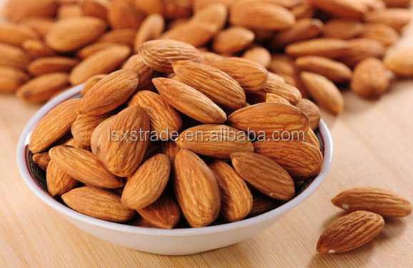 Bitter Apricot Kernel /Bitter Apricot Seed/Chinese Raw bitter Almond