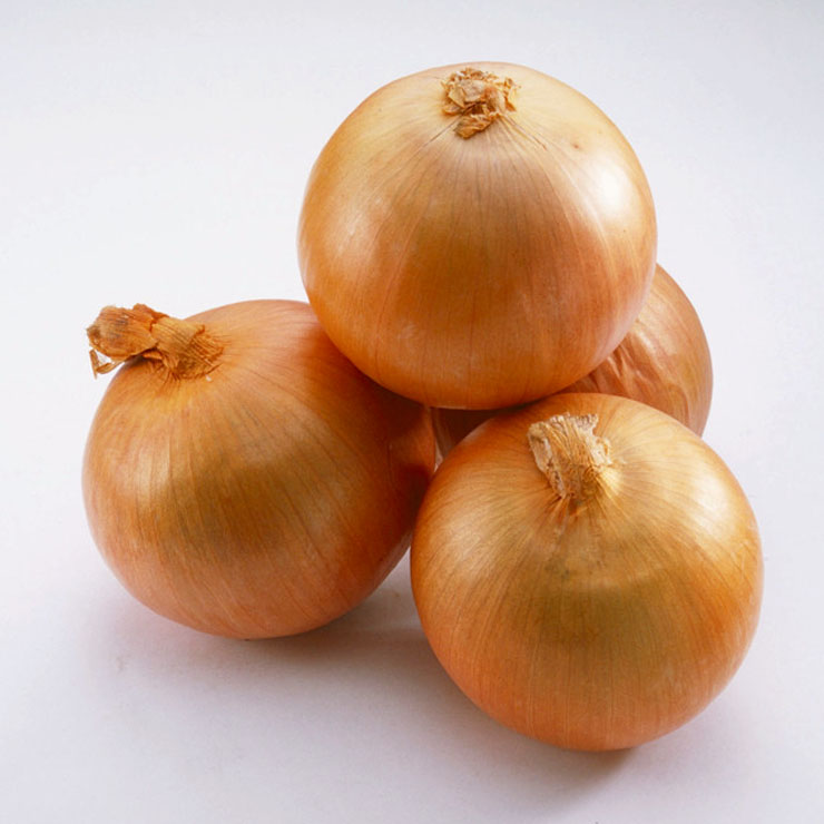 fresh yellow onion