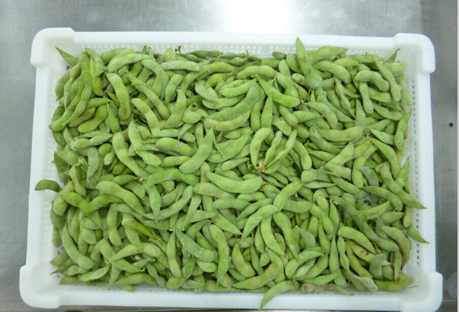 IQF Frozen Soy beans Pods/Frozen Edamame 2014 New Crop
