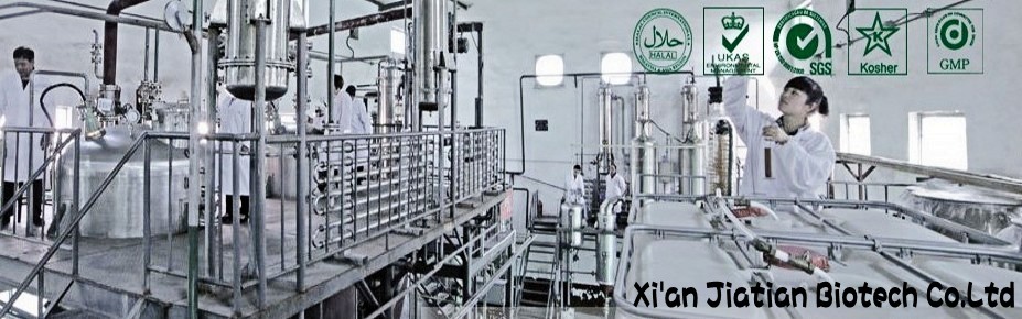 100% natural product Cocoa extract, Theobromine 6%- 20%