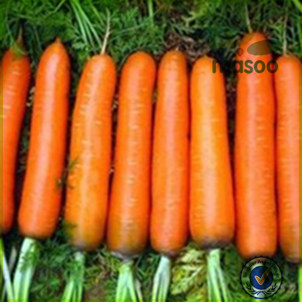 2014 Crop Chinese High Quality Fresh Carrot With Low Price / Carrots ...