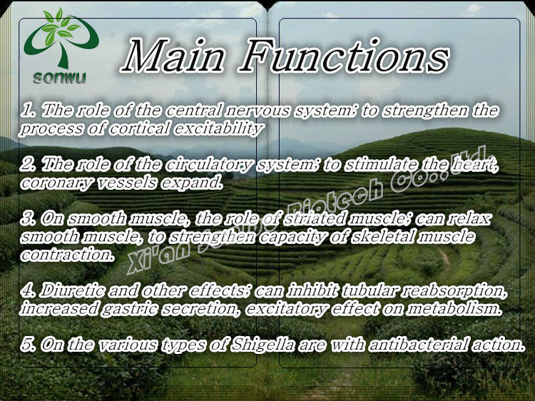 Organic white tea extract powder