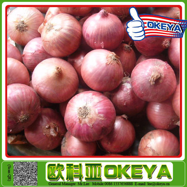 ISO9001 Certificated hydrolyzed vegetable protein