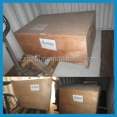CE certificated garlic processing machines/garlic peeling machine/garlic powder equipment