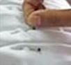 HTB1JFRaFVXXXXcFXXXXq6xXFXXXy