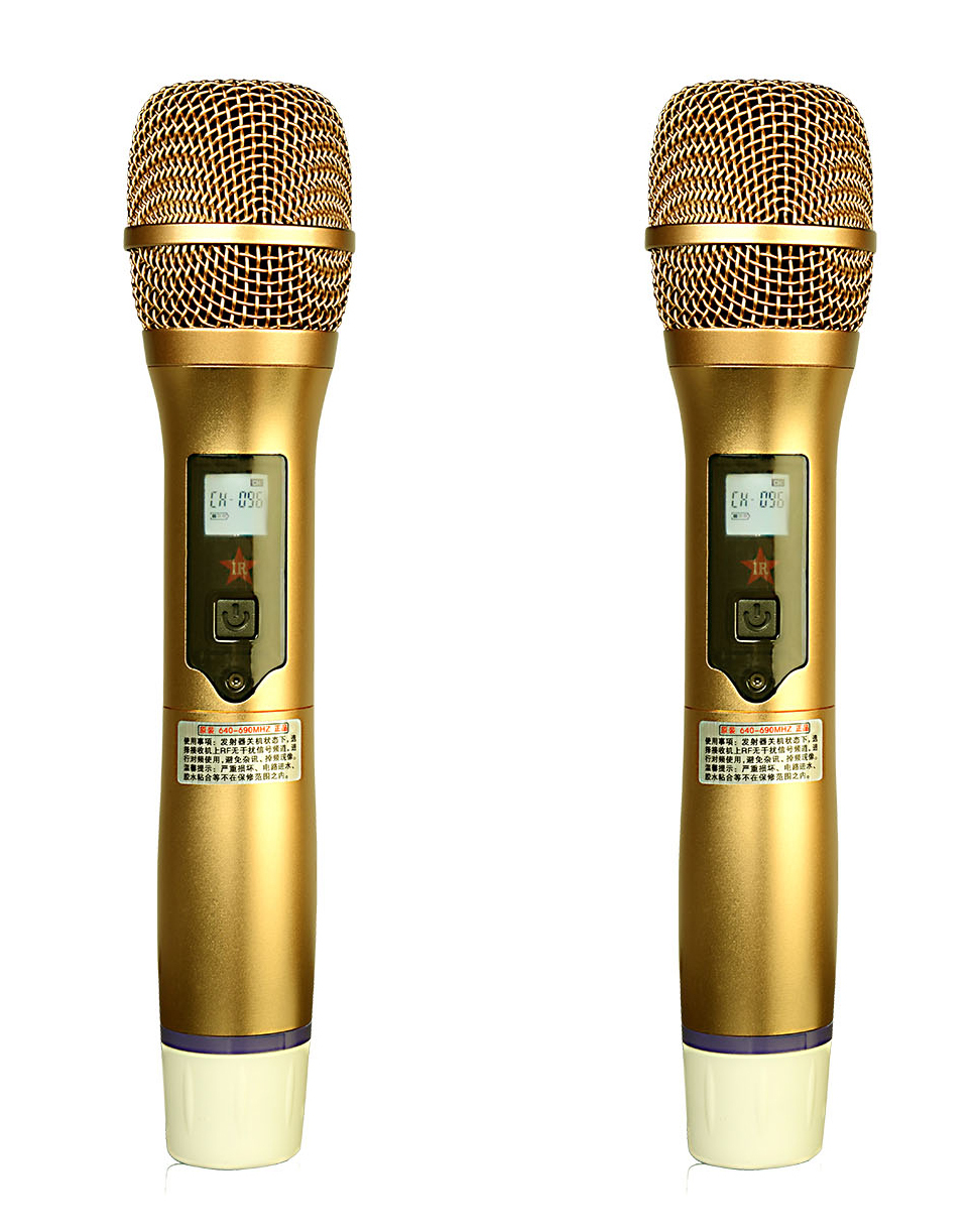 sing along karaoke microphone