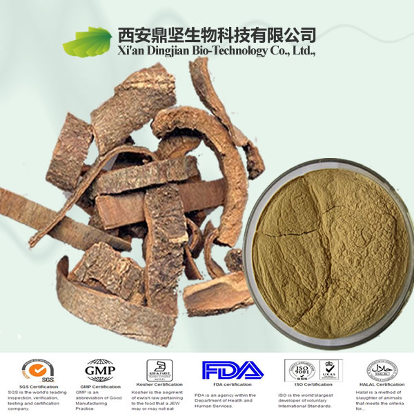 High quality cinnamon extract,organic cinnamon extract,cinnamon extract powder