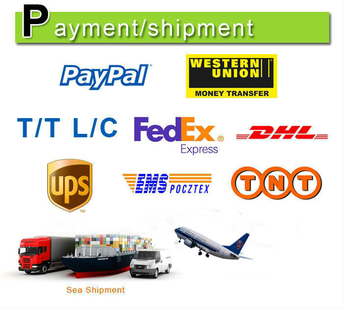 shiping1.jpg