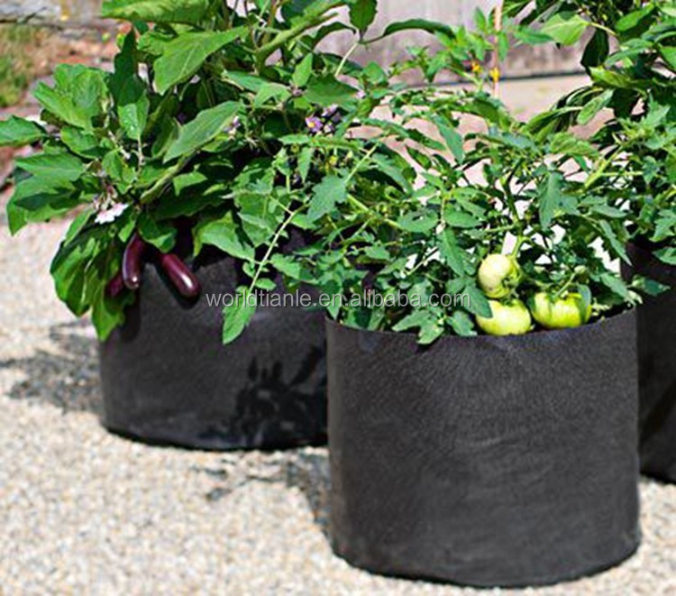 成長バッグの生地を育てる-不織布植栽バッグ用植物ねえや仕入れ・メーカー・工場