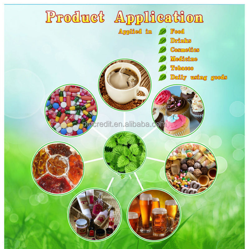 GMP factory piperine extract 95% black pepper extract