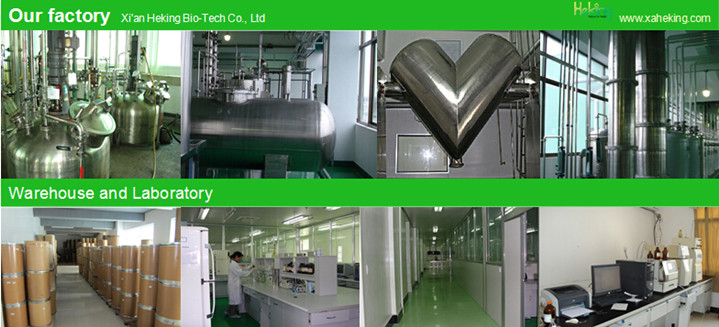 Raw Material Rutin Extract