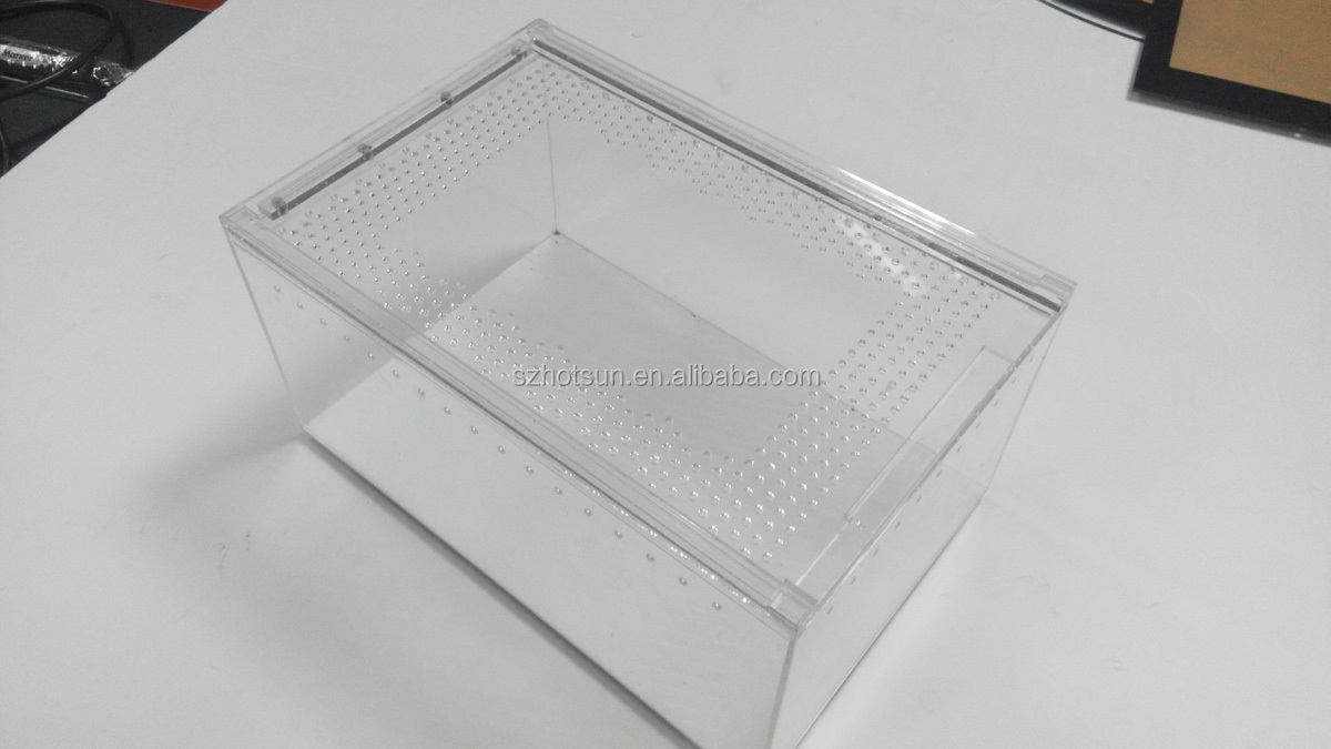 Clear Acrylic Tarantula/small Animal Display Box/case Buy Small