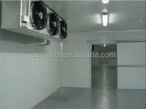 Multi-specification Pands Mini Blast Freezer for Sale