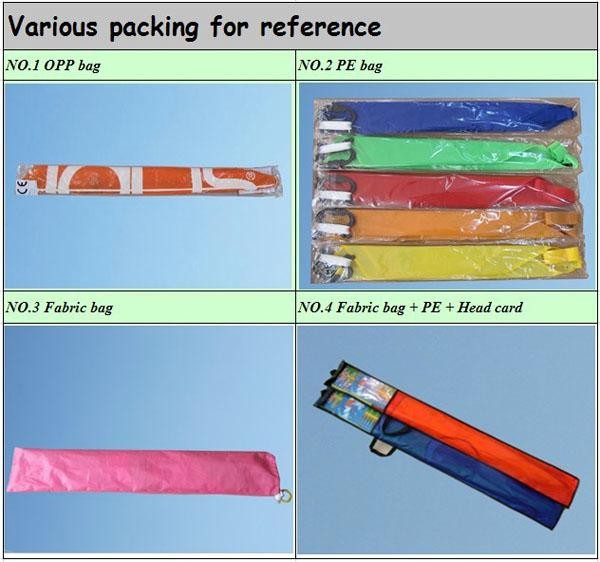 bag 2.jpg