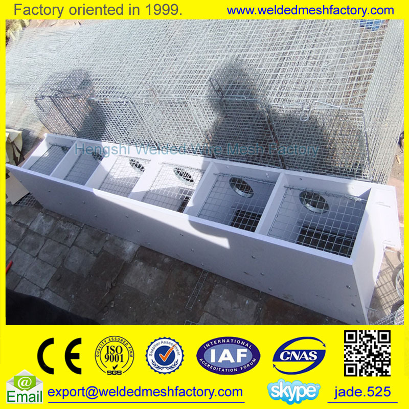 Mink Farming Cage /fox Farming Cage For Sale Buy Mink Cages For Sale