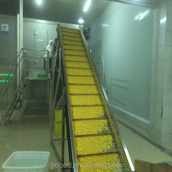 wholesale frozen vegetables cauliflower from Chinese supplier