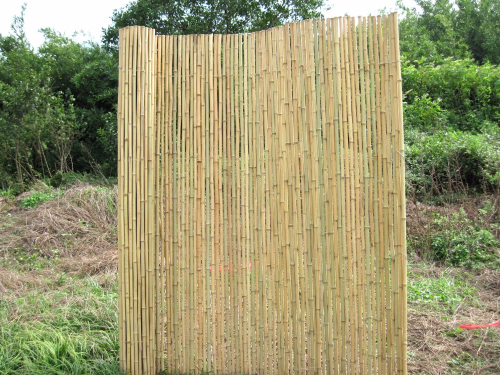 Bamboo Fence,Rolled Bamboo Fence,Bamboo Fencing Buy Cheap Bamboo