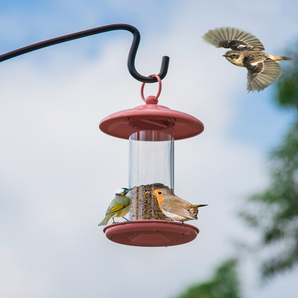 Food Storage Bowl Feeder Type Eco Friendly Feature Hanging Bird