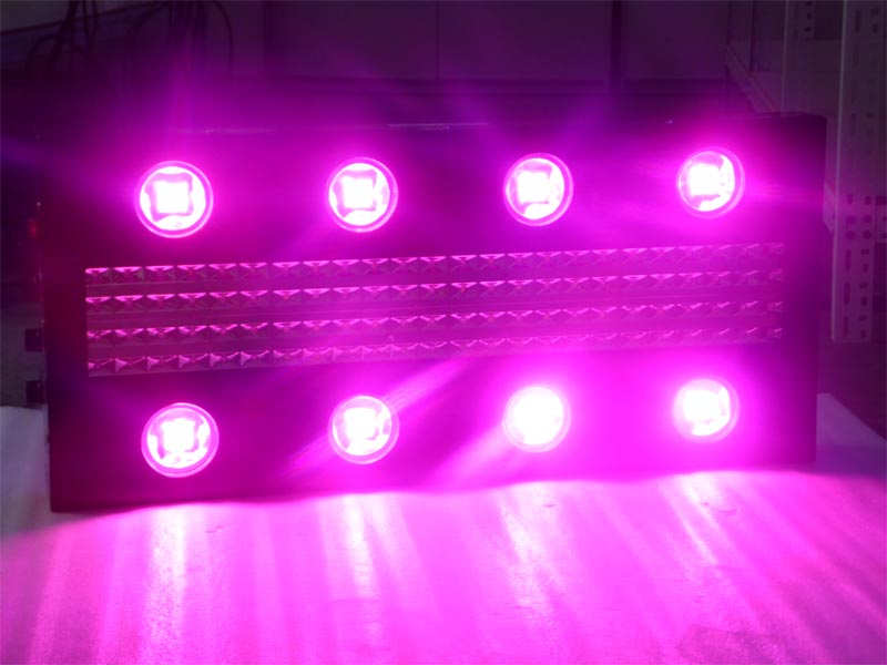 ノアの最もよく売れる製品シリーズ2014年cobのライトを育てる導かフルスペクトルのライトを成長主導1000wはライトを育てる導か問屋・仕入れ・卸・卸売り