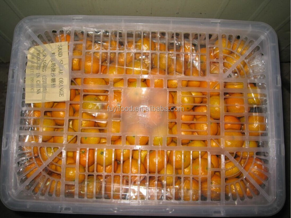 sugar little orange.jpg