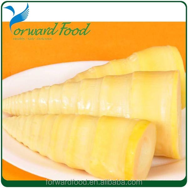 whole canned bamboo shoot in tin