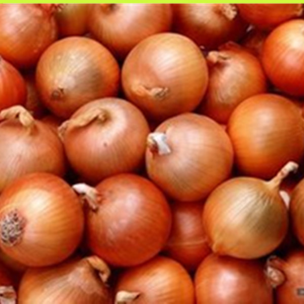 2014 Seasonable Fresh Onion In Different Pack