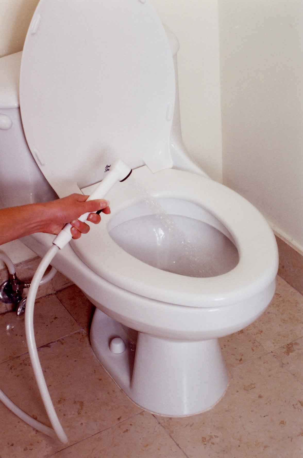 Bidet Ole Or Stay Fresh Buy Hand Bidet Product on