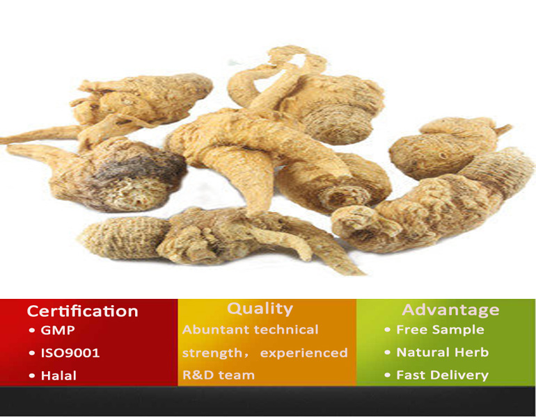 Black Maca For Men/Black Maca Extract/Black Maca