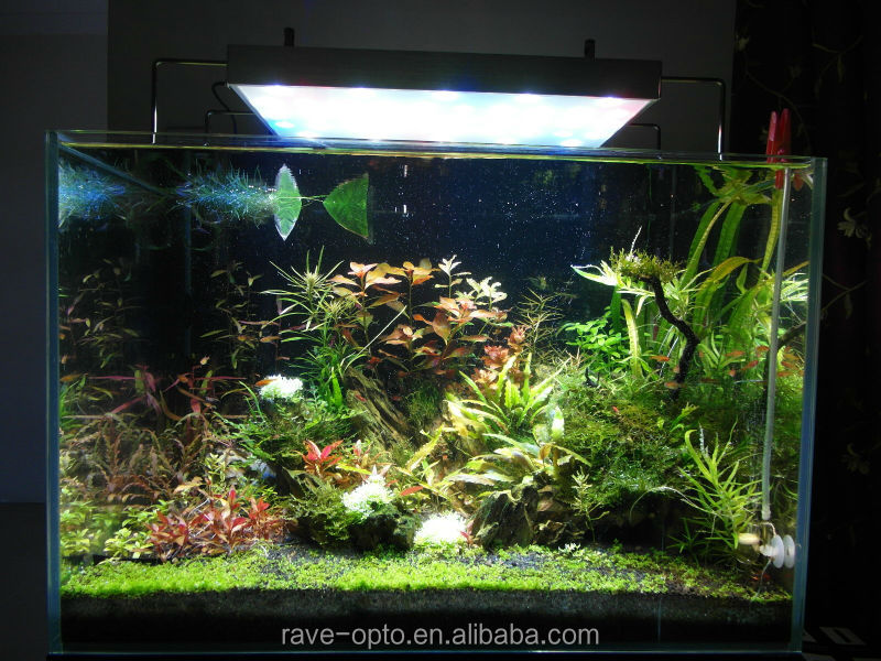 300w48インチledアクアリウムライトマリン用植物や魚をぶら下げ無料キット問屋・仕入れ・卸・卸売り