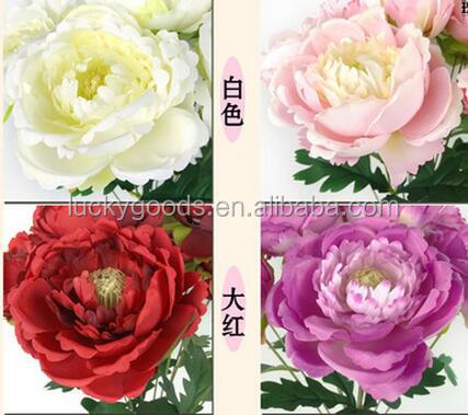 QQ20170728202419.jpg