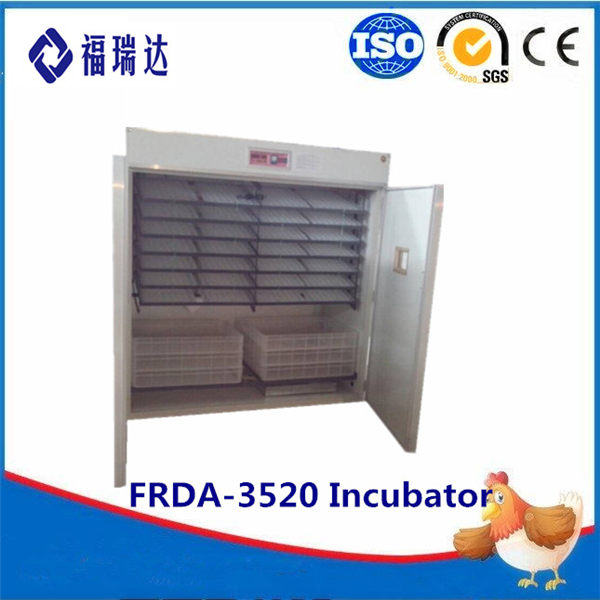 3520--incubator 001