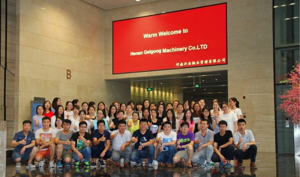 gelgoog company