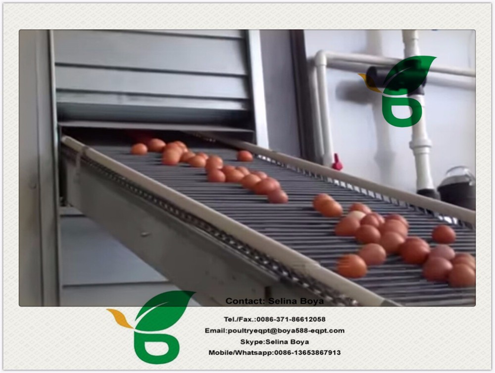 Automatic Feeders And Egg Collectors Quail Cage For Sale Hjqc400b