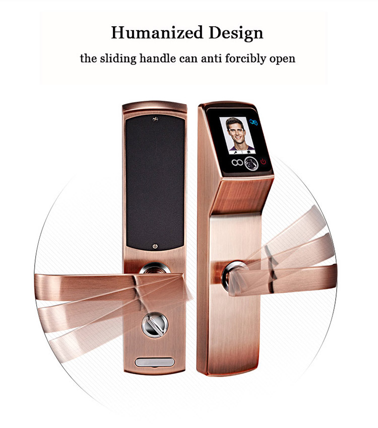 Face Door Lock With Eye Scanner Cheap Smart Recognition For Wooden
