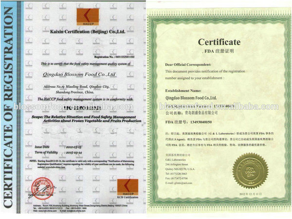 IQF double spore frozen champignons export mushroom