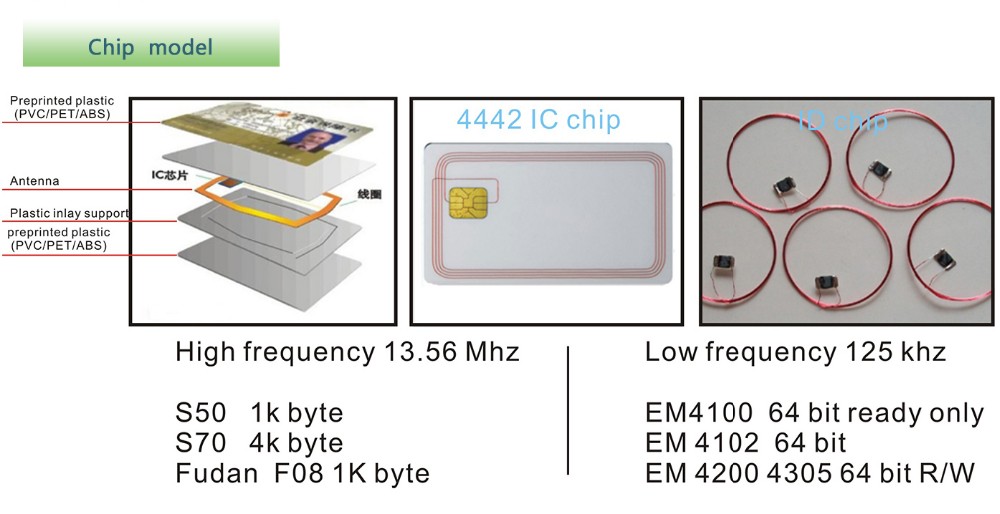 5 chip model.jpg