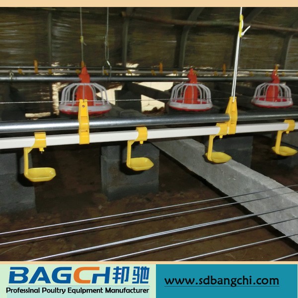 2015 Hot Sale Automatic Nipple Broiler Chicken Water Line Equipment .jpg