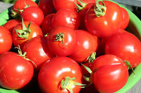 bulk drum tomato paste