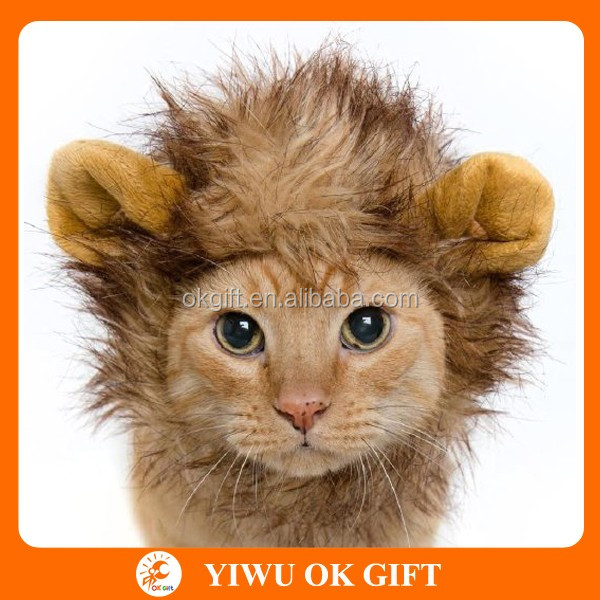 cat lion mane costume.jpg