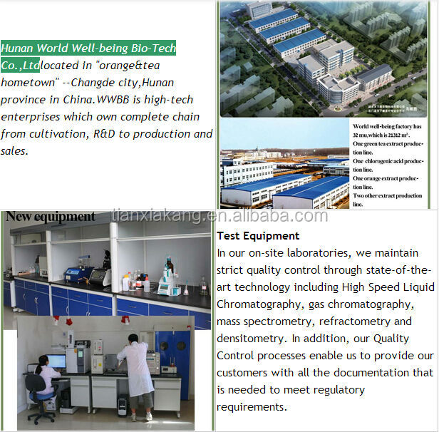 licorice root extract 98% Monoammonium Glycyrrhizinate/Licorice extract Glycyrrhizinate powder
