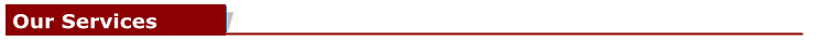 Our Services.png