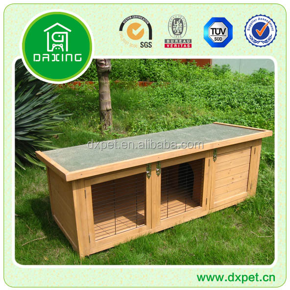 DXR011.jpg