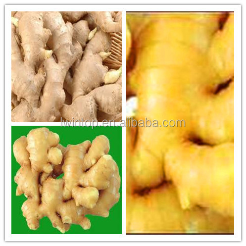 2013 New Crop Ginger Price