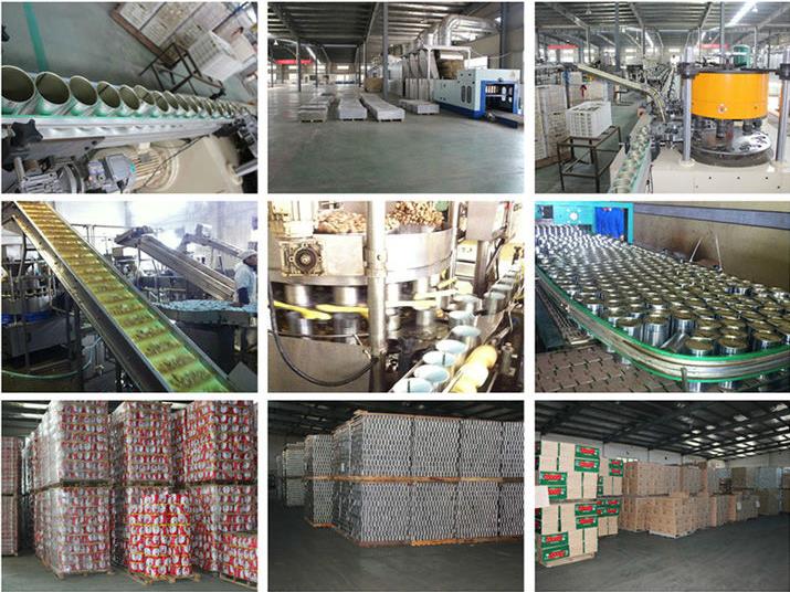 canned soybean in tomato pulp from china
