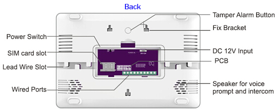 back.jpg