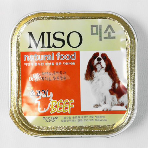 Healthy food to feed your cat