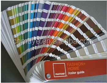 COLOR.jpg