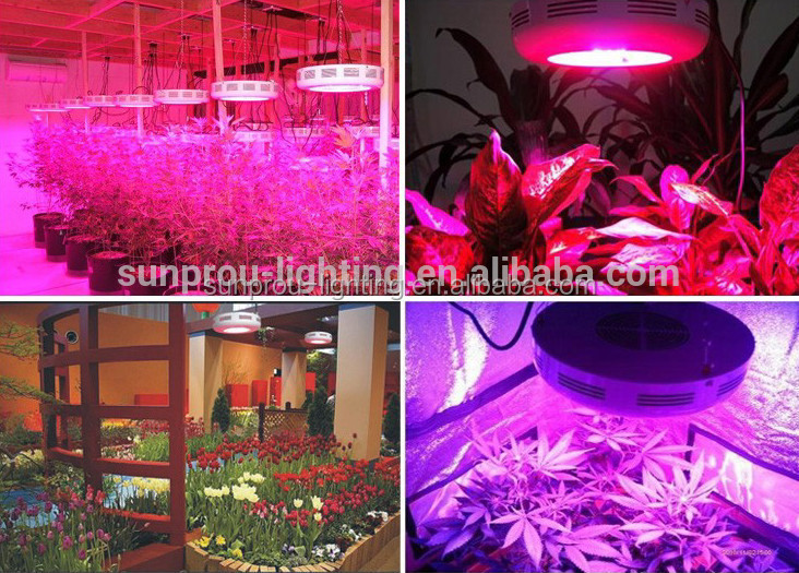 Popular hot selling global led grow light for greenhouse glass used