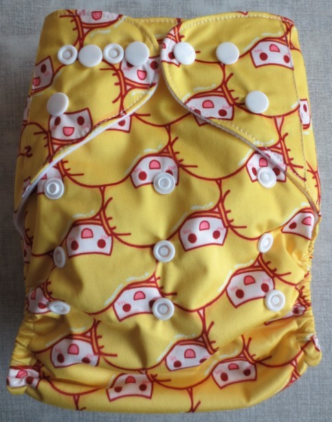 Print Cloth diapers (6)